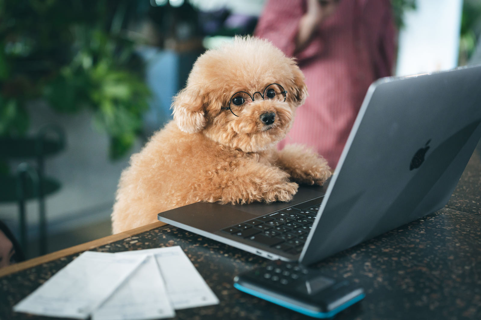 オフィスのデスクで、ノートパソコンの初期設定をしている様子